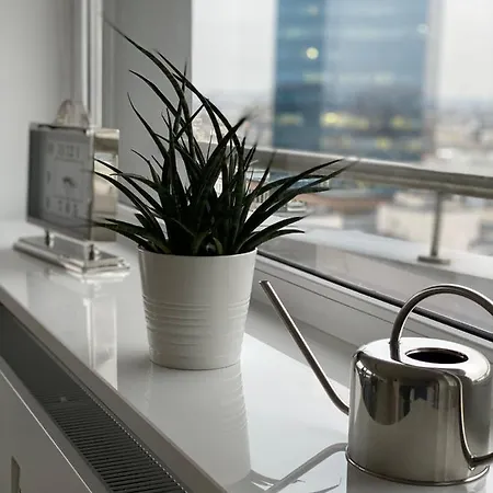 Leo Apartment